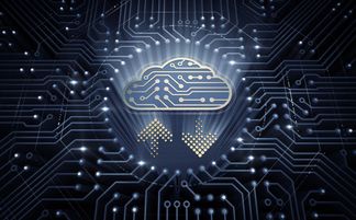 Radware云端原生数据泄露事件解析 人工智能应用软件开发的警钟